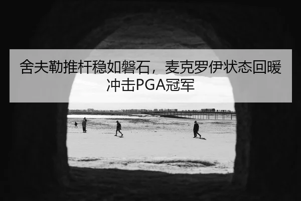 舍夫勒推杆稳如磐石，麦克罗伊状态回暖冲击PGA冠军