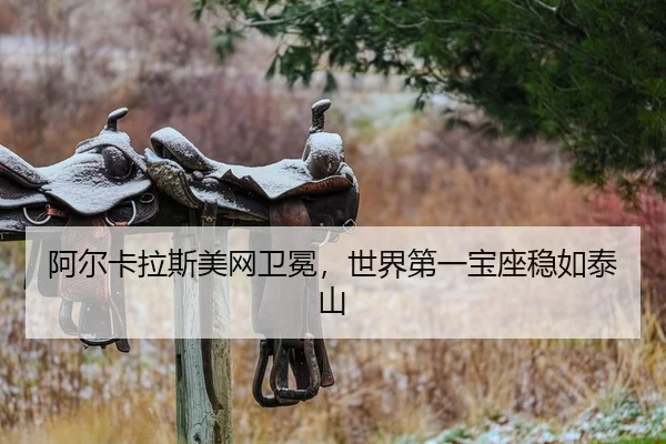 阿尔卡拉斯美网卫冕，世界第一宝座稳如泰山