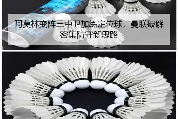 a-mo-lin-bian-zhen-san-zhong-wei-jia-lian-ding-wei-qiu-man-lian-po-jie-mi-ji-fang-shou-xin-si-lu-3-100.jpg